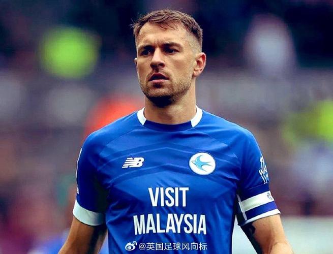 阿斯：拉姆塞在爱犬失踪后陷入深深的抑郁，因此与美洲狮解约