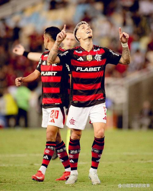 帕尔梅拉斯、弗拉门戈第5次在决赛相遇,此前4次各胜2场