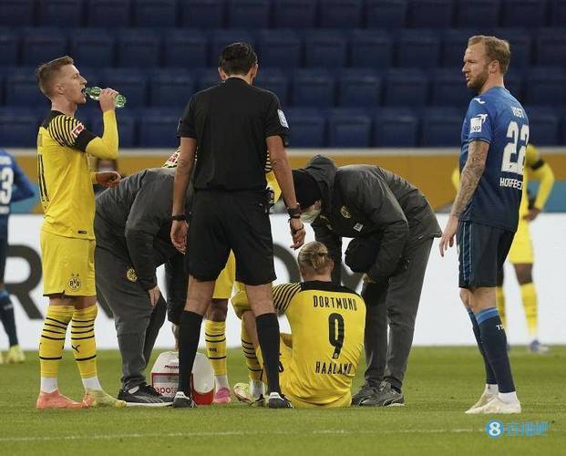 斯洛文尼亚媒体：舍什科接受首次体检，检查结果显示伤情乐观