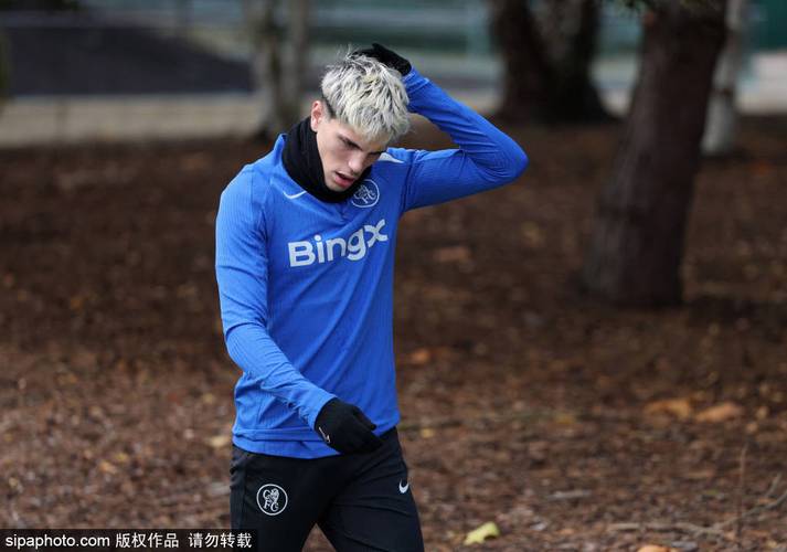本赛季遭弃用,博主:迪萨西参与切尔西一线队训练
